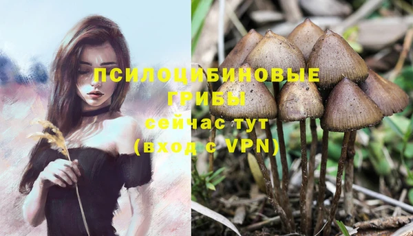 mdpv Каменка