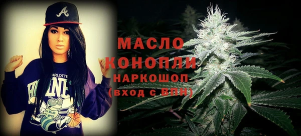 mdpv Каменка