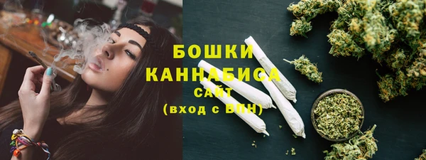 mdpv Каменка