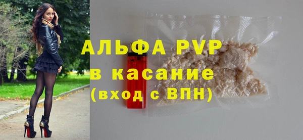 прущие грибы Касимов
