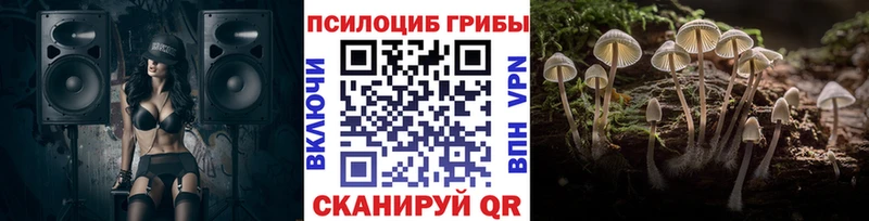 Галлюциногенные грибы Psilocybe Купить где Давлеканово